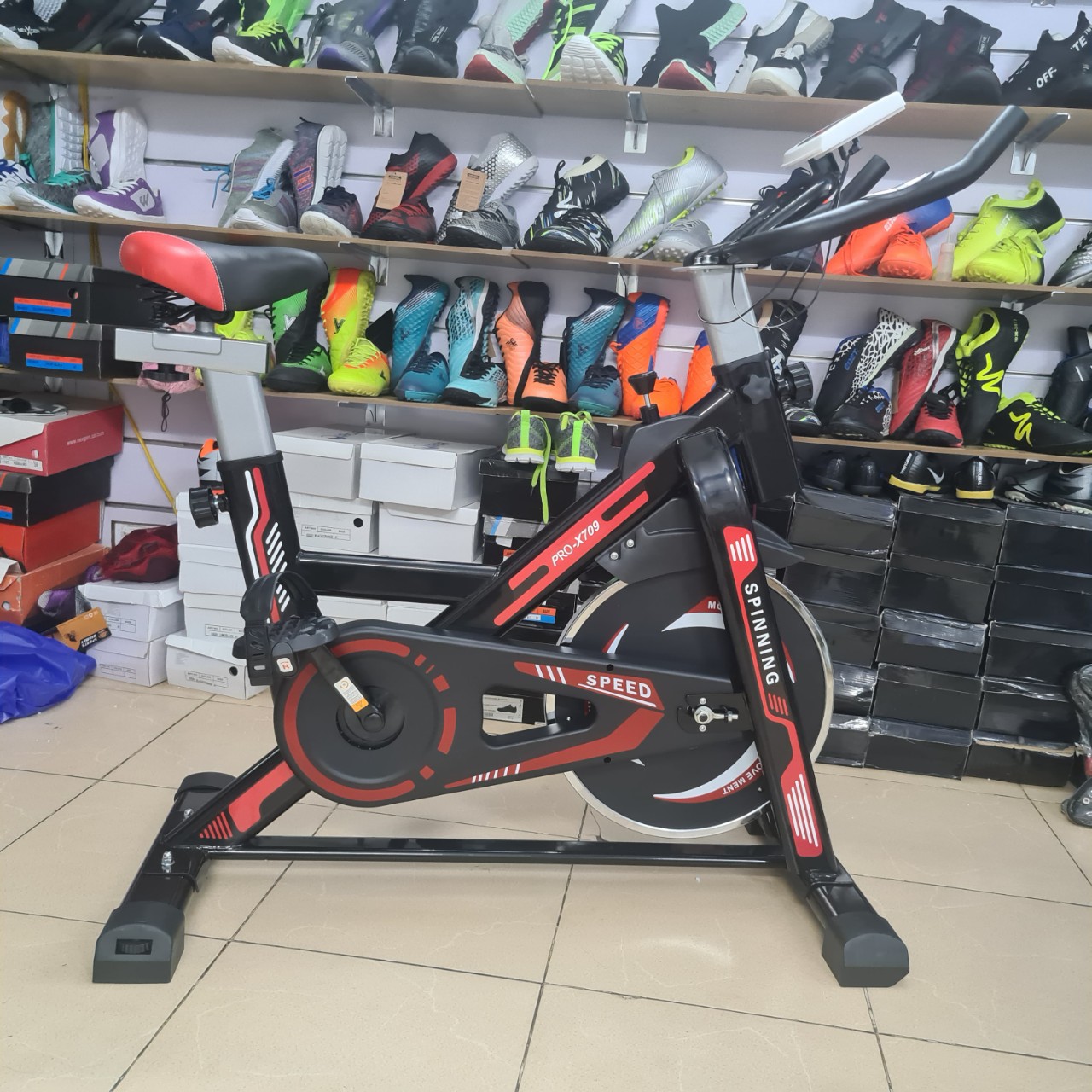 Xe đạp tập thể dục Spin Bike Pro Fitness Pro-X709