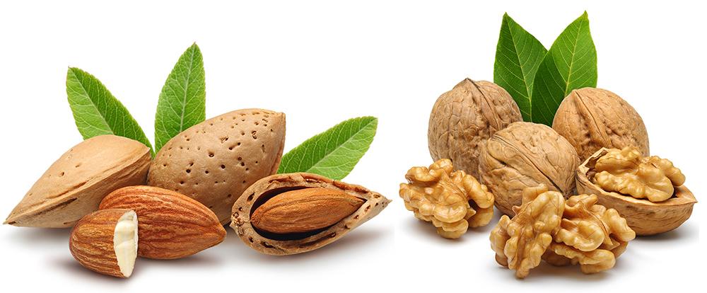 1 Thùng 20 Túi Sữa nước óc chó đậu đen hạnh nhân Hàn Quốc SAHMYOOK 195ML BH513