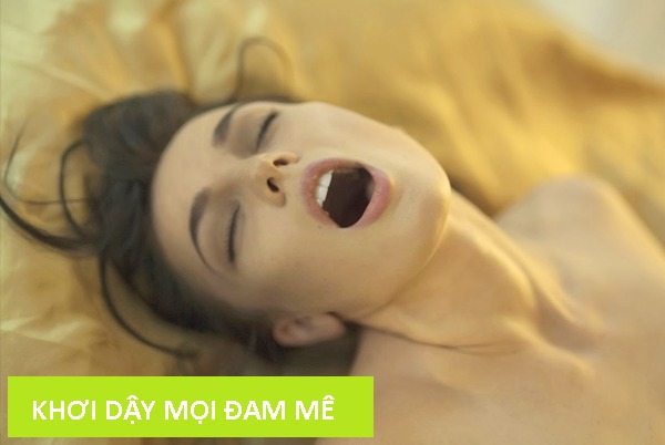Tinh Dầu Massage Yoni Toàn Thân Dùng Trong Spa