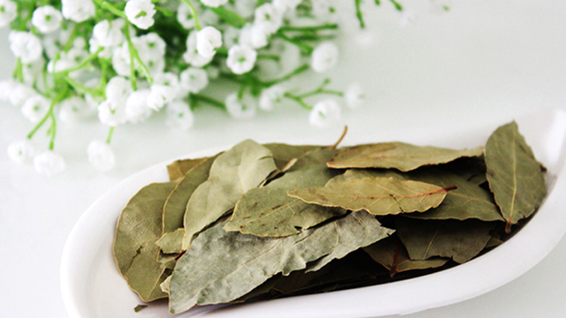 Xua đuổi các loại côn trùng, đặc biệt là gián