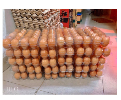 50 Trứng gà công nghiệp siêu to khủng lồ - hàng test không bán