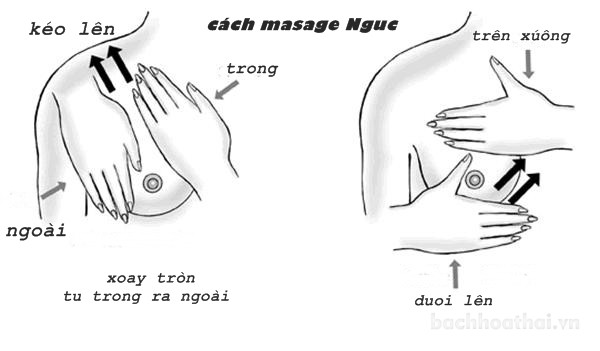 Xà phòng nở gực Princess Princess Soap Thái Lan 5