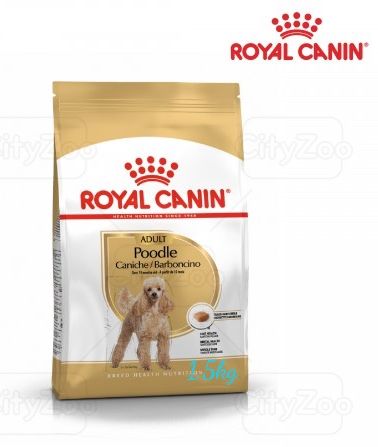  Đại lý Thức Ăn Cho Chó Royal Canin Poodle Adult 15Kg cao cấp