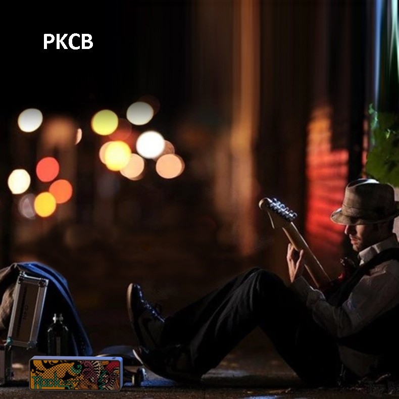 ₪ Loa Bluetooth PKCB 10W Speaker không dây - Hàng chính hãng