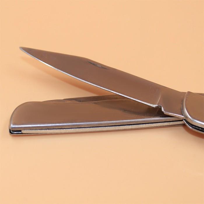 Dao Gọt Hoa Quả Trái Cây Du Lịch Gấp Gọn Mini