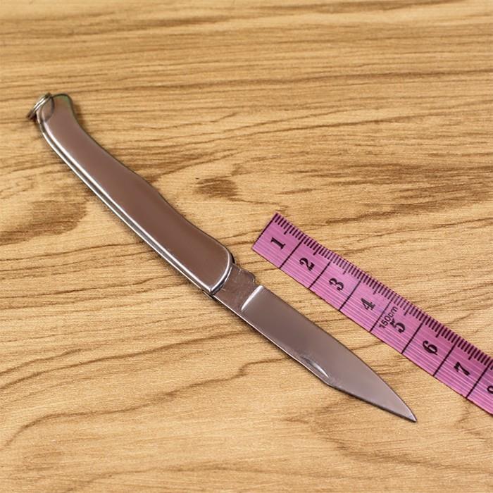 Dao Gọt Hoa Quả Trái Cây Du Lịch Gấp Gọn Mini